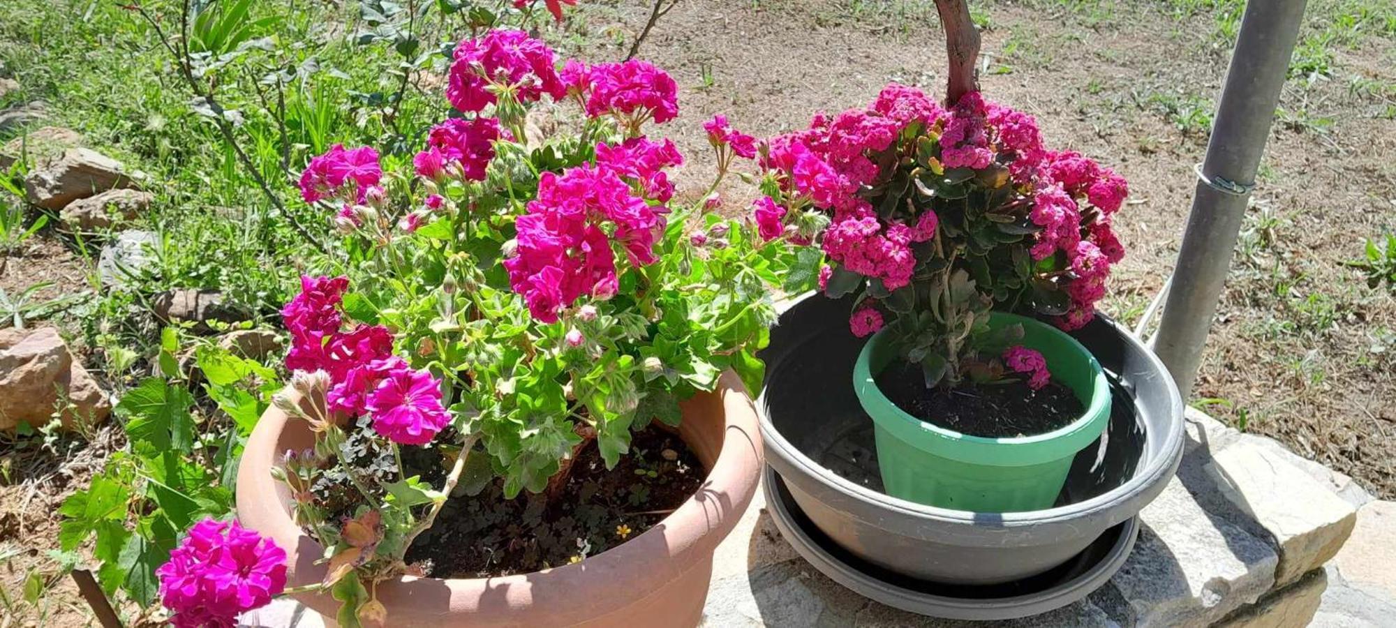شقة Smaro'S House Skála Kallirákhis المظهر الخارجي الصورة